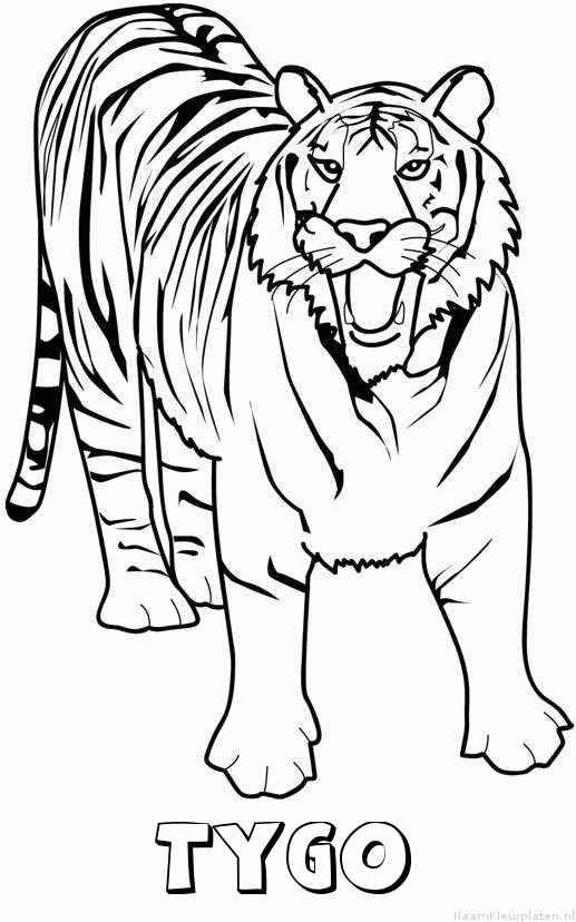 Tygo tijger 2 kleurplaat