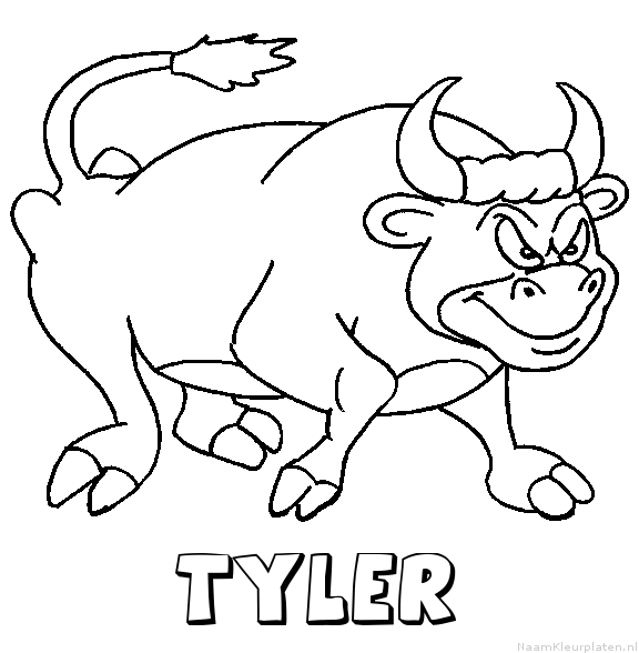 Tyler stier
