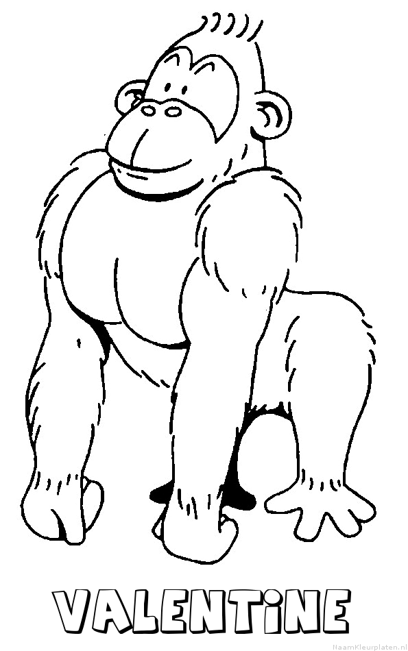 Valentine aap gorilla