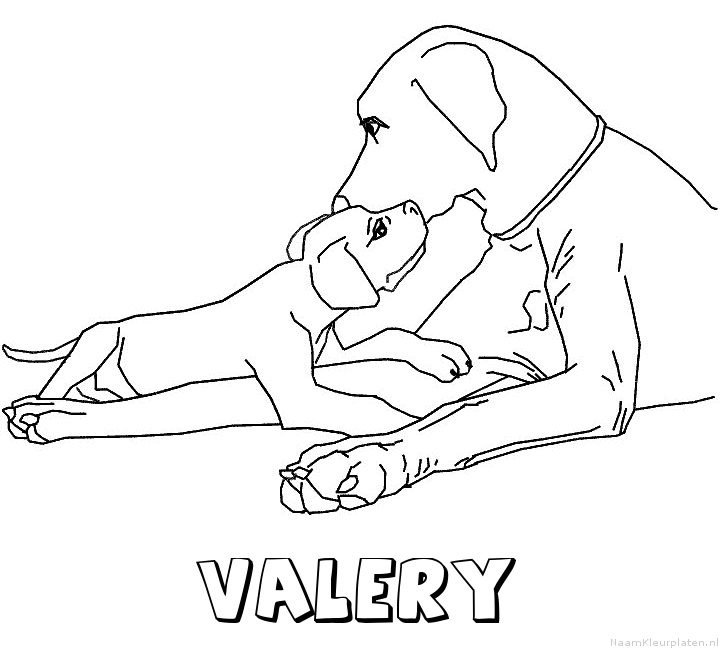Valery hond puppy kleurplaat