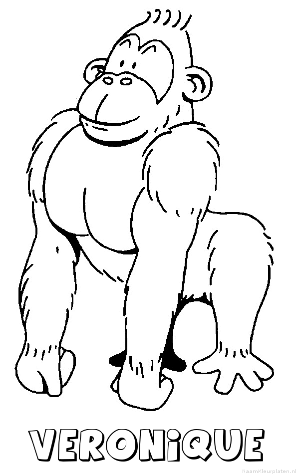 Veronique aap gorilla