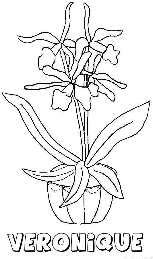 Veronique bloemen kleurplaat