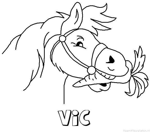 Vic paard van sinterklaas kleurplaat