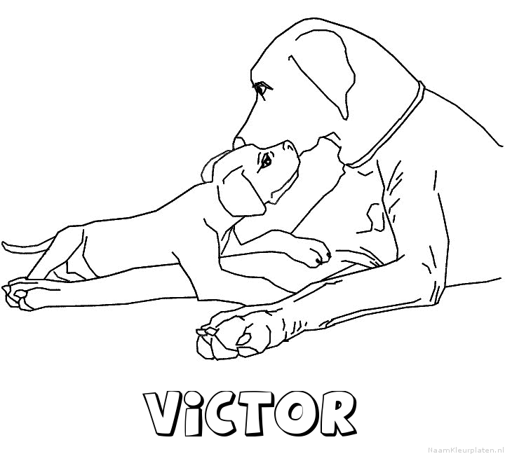 Victor hond puppy kleurplaat