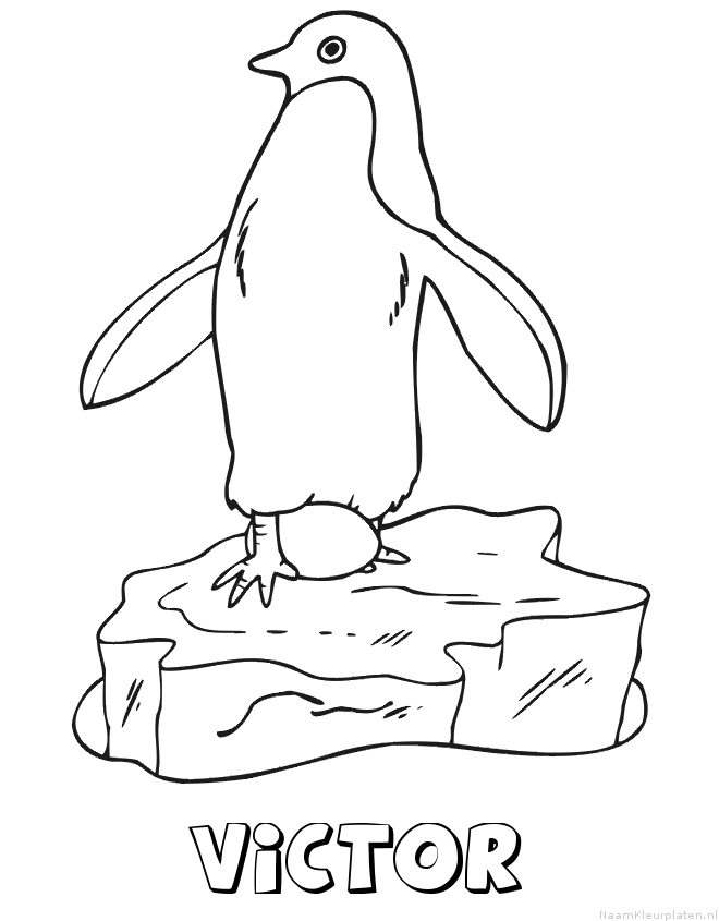 Victor pinguin