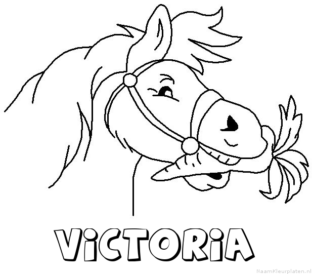 Victoria paard van sinterklaas