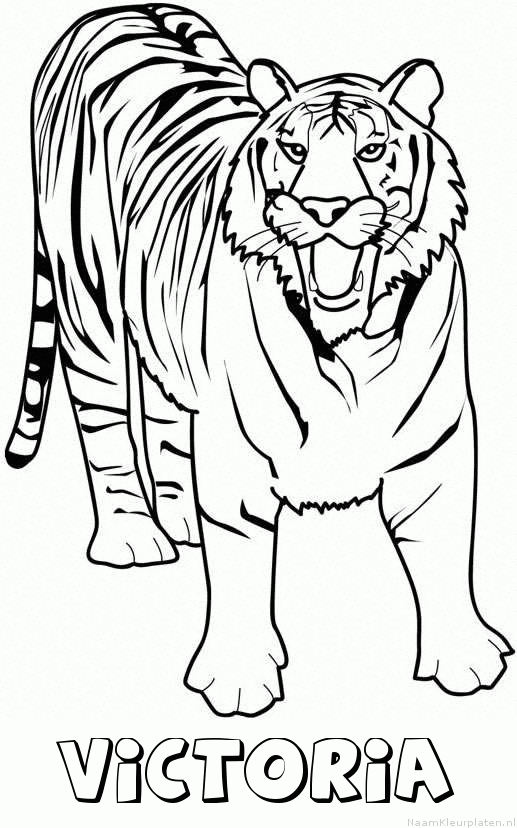 Victoria tijger 2