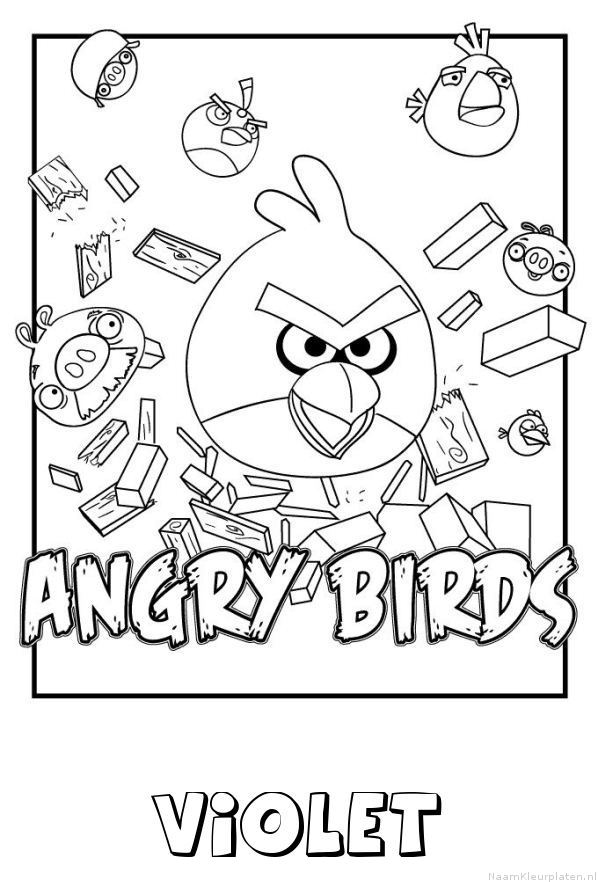 Violet angry birds
