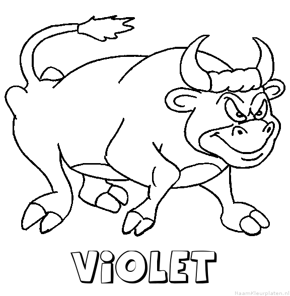 Violet stier