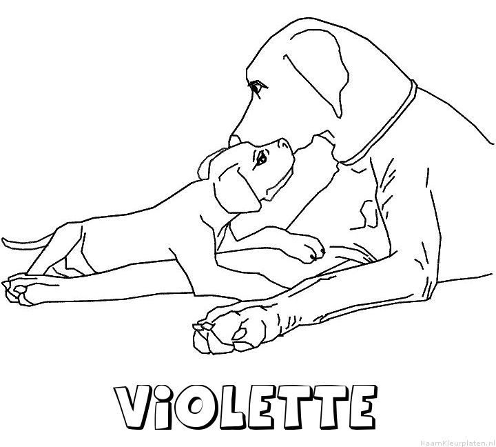 Violette hond puppy