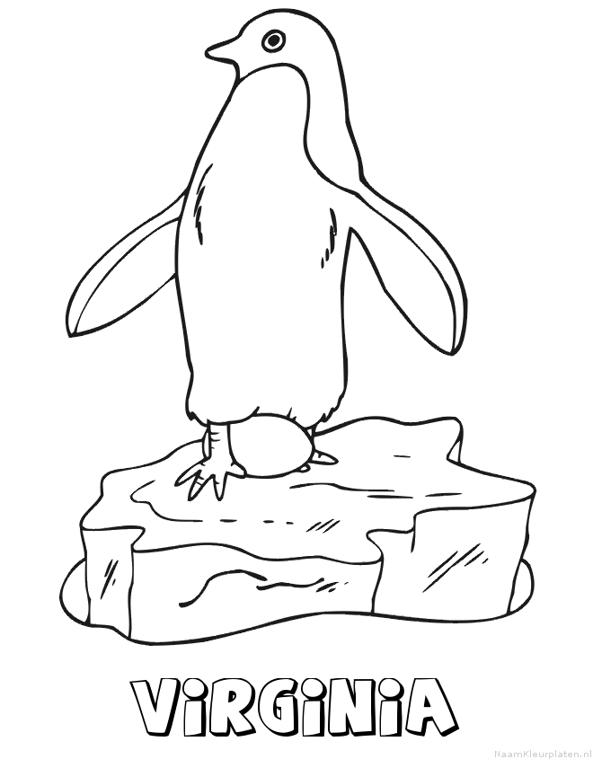 Virginia pinguin
