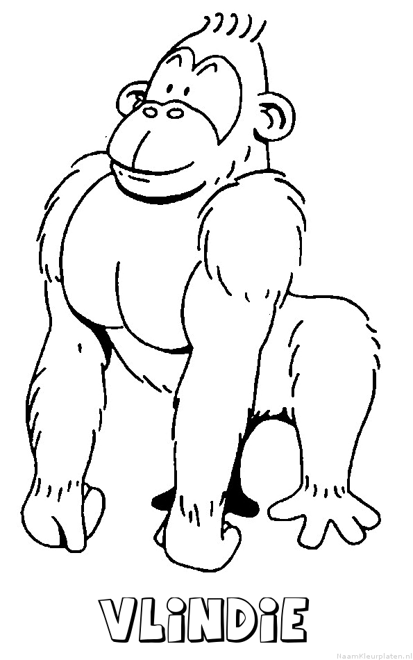 Vlindie aap gorilla