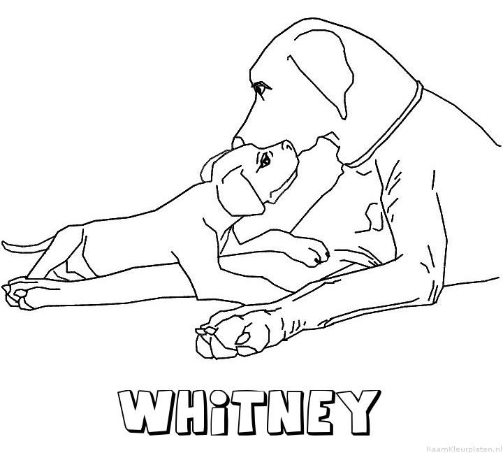 Whitney hond puppy kleurplaat