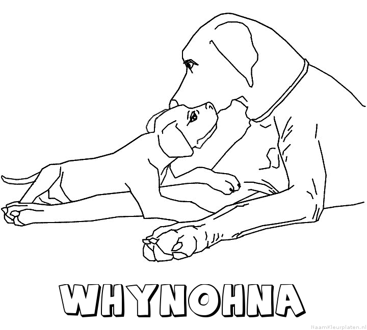 Whynohna hond puppy