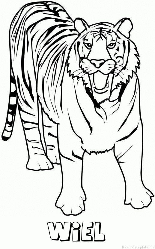 Wiel tijger 2