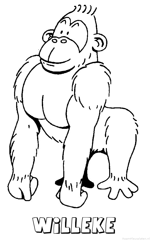 Willeke aap gorilla