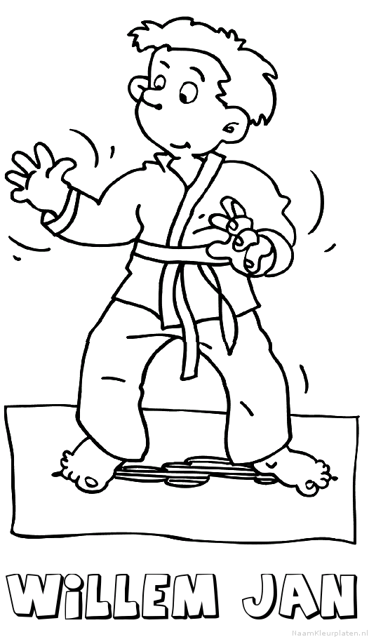 Willem jan judo