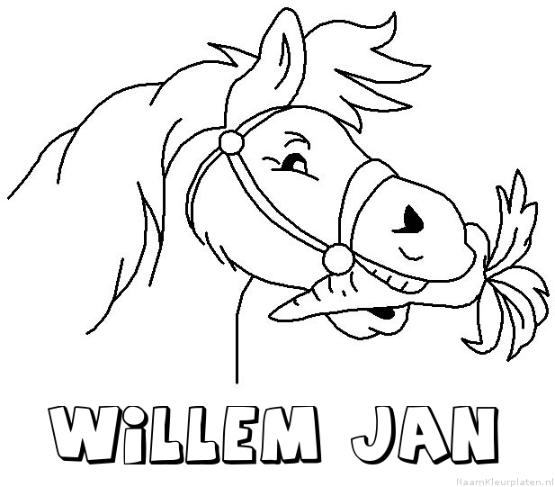Willem jan paard van sinterklaas