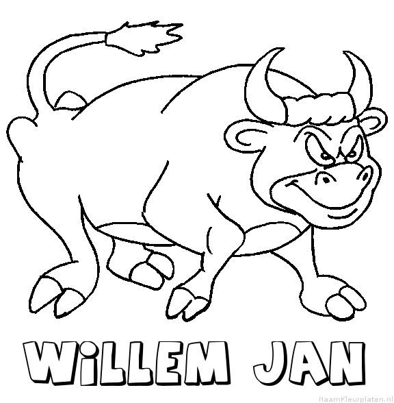 Willem jan stier