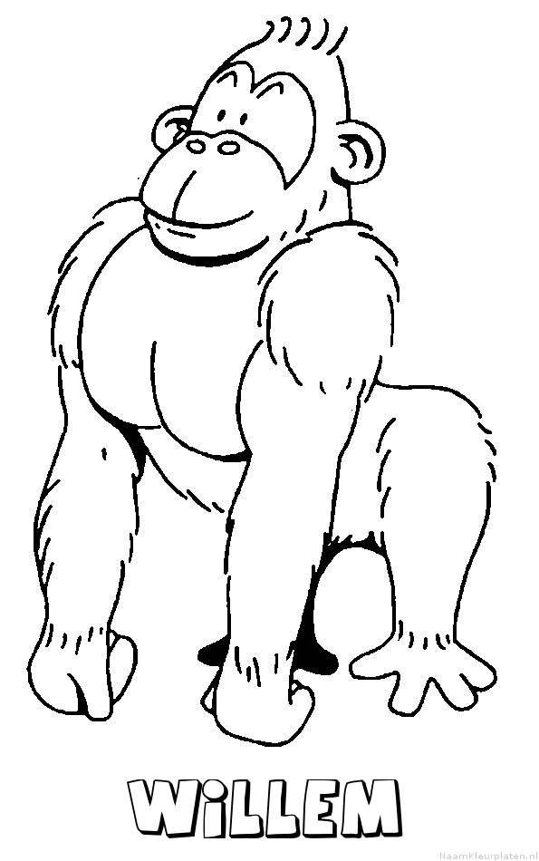 Willem aap gorilla