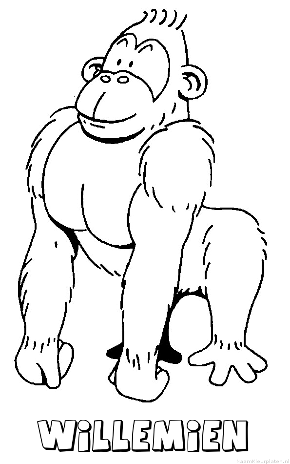 Willemien aap gorilla