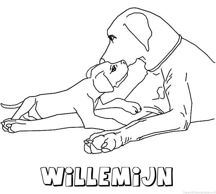 Willemijn hond puppy kleurplaat
