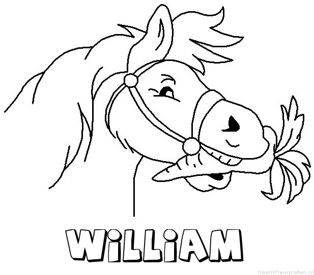 William paard van sinterklaas kleurplaat