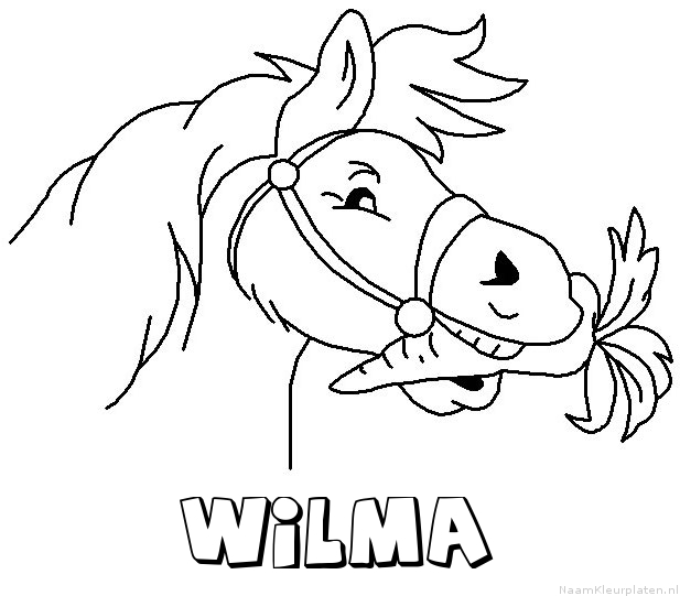 Wilma paard van sinterklaas