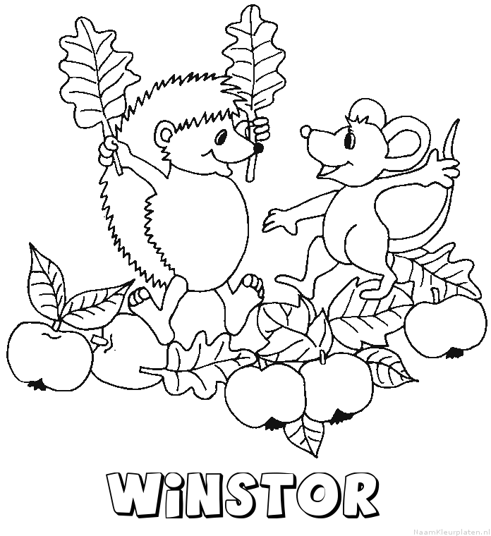 Winstor egel