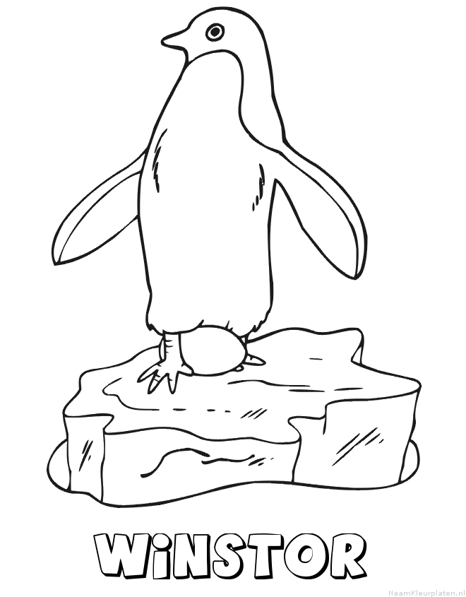 Winstor pinguin