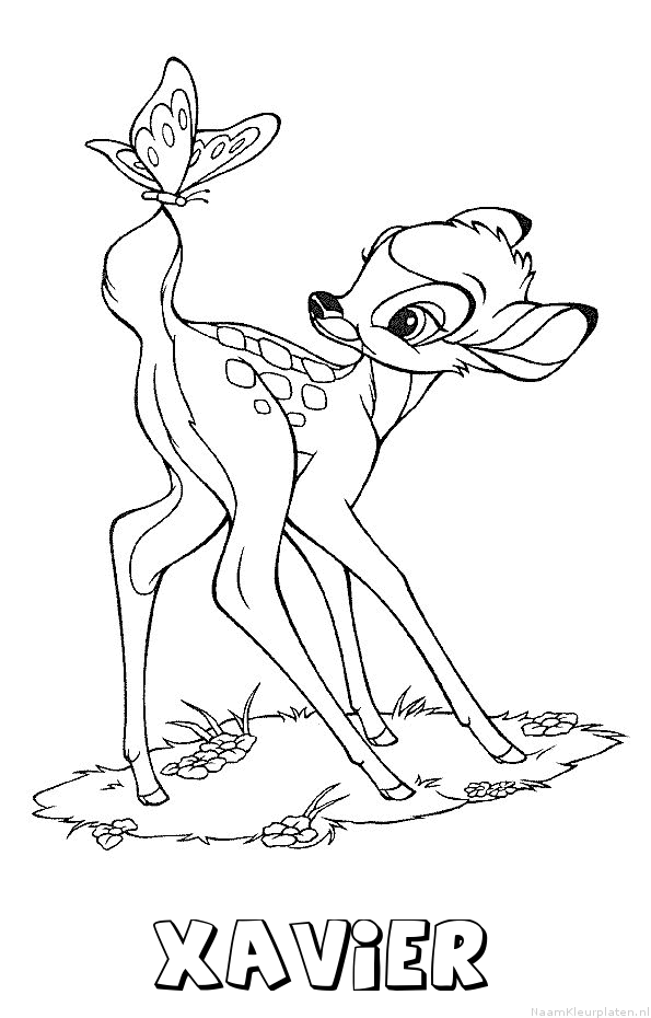 Xavier bambi