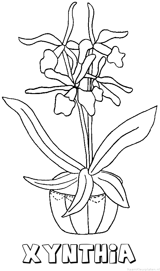 Xynthia bloemen kleurplaat