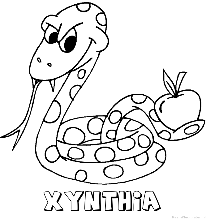 Xynthia slang