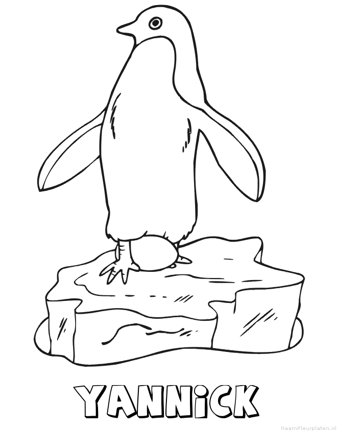 Yannick pinguin