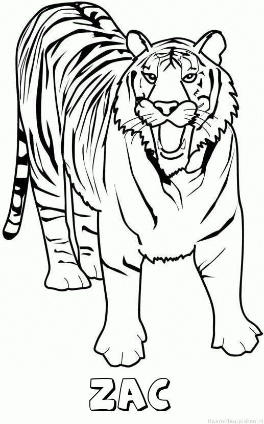 Zac tijger 2 kleurplaat