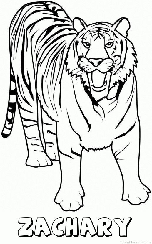 Zachary tijger 2 kleurplaat