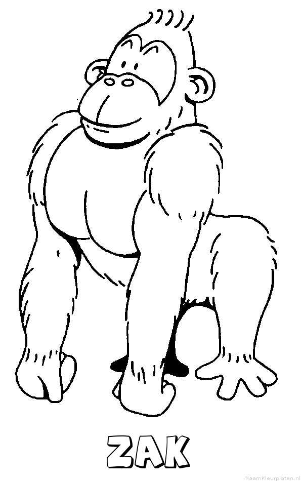 Zak aap gorilla