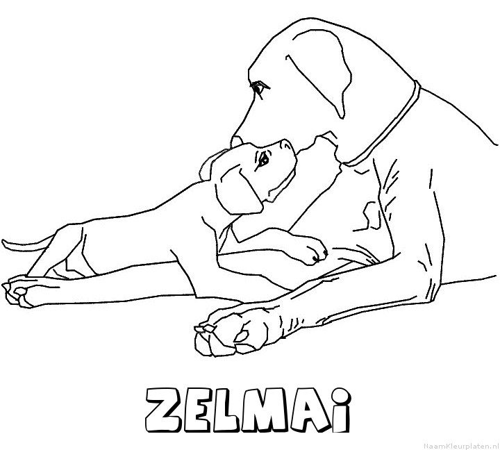 Zelmai hond puppy kleurplaat