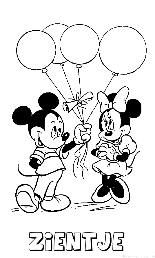 Zientje mickey mouse